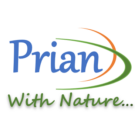 Prian Energy Logo